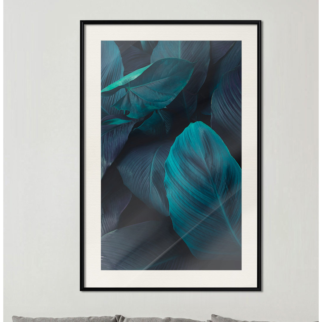 Gerahmtes Poster Evergreen Leaves