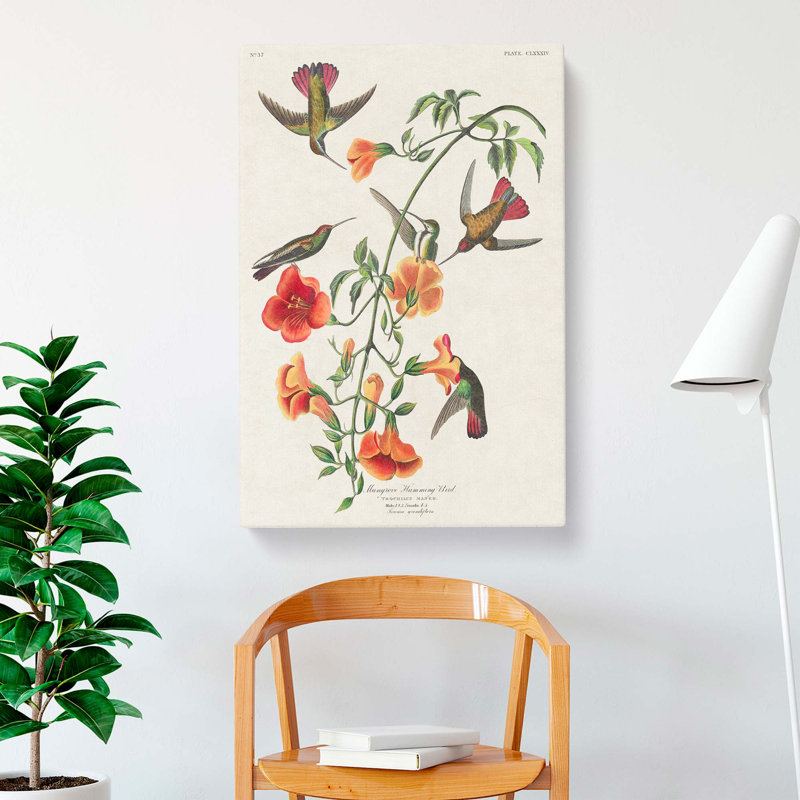 Mango Hummingbirds by John Audubon - Wrapped Canvas, 60cm H x 40cm W x 3cm D