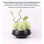 Décoration de table moderne pour table-1783940300
