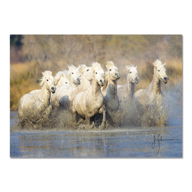 White Horses Of The Camargue by Jim Zuckerman - No Frame Painting on Plastic / Acrylic, 65cm H x 95cm W