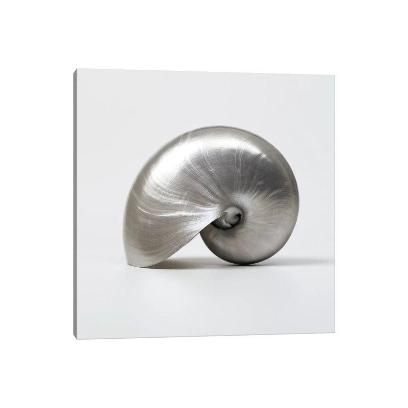 Beachside Treasure I by Assaf Frank - Wrapped Canvas Print, 45.72 cm H x 45.72 cm W x 1.91 cm D