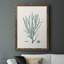 Heffron Antique Coastal Coral VII, reproduction d'art sur toile-88399308-88399307