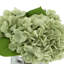 Hydrangea Floral Arrangement in Mercury Glass Vase-738439069