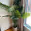 Photos des clients 1 de 1