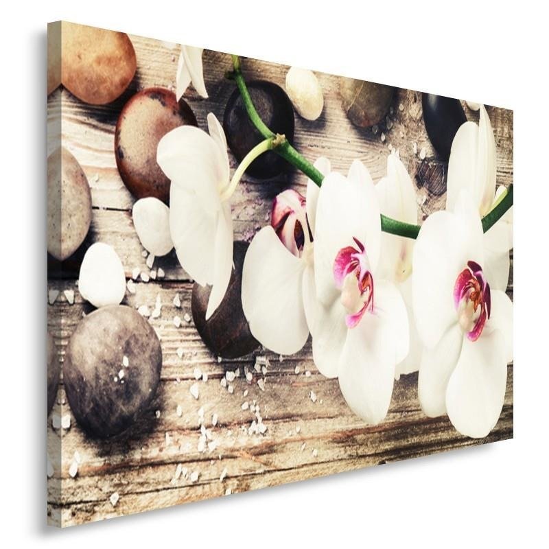 Leinwandbild Orchids Zen 2