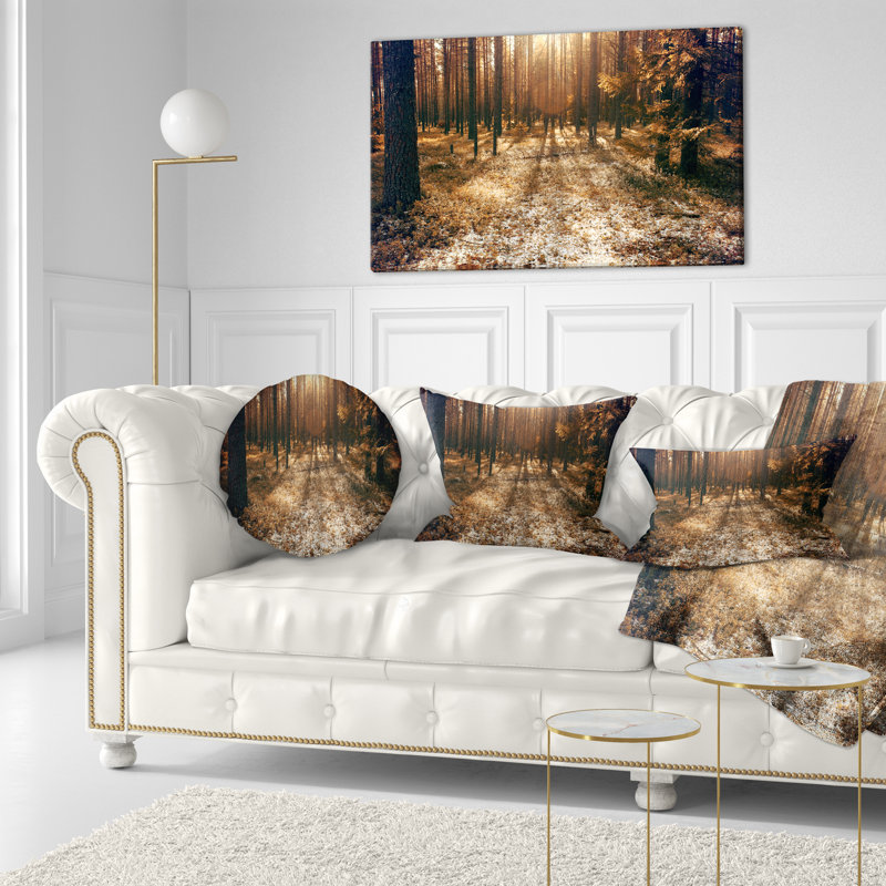Coussin Forest Road