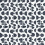 Moon Phase