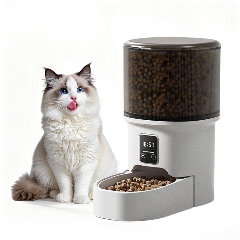 Food Storage And Container