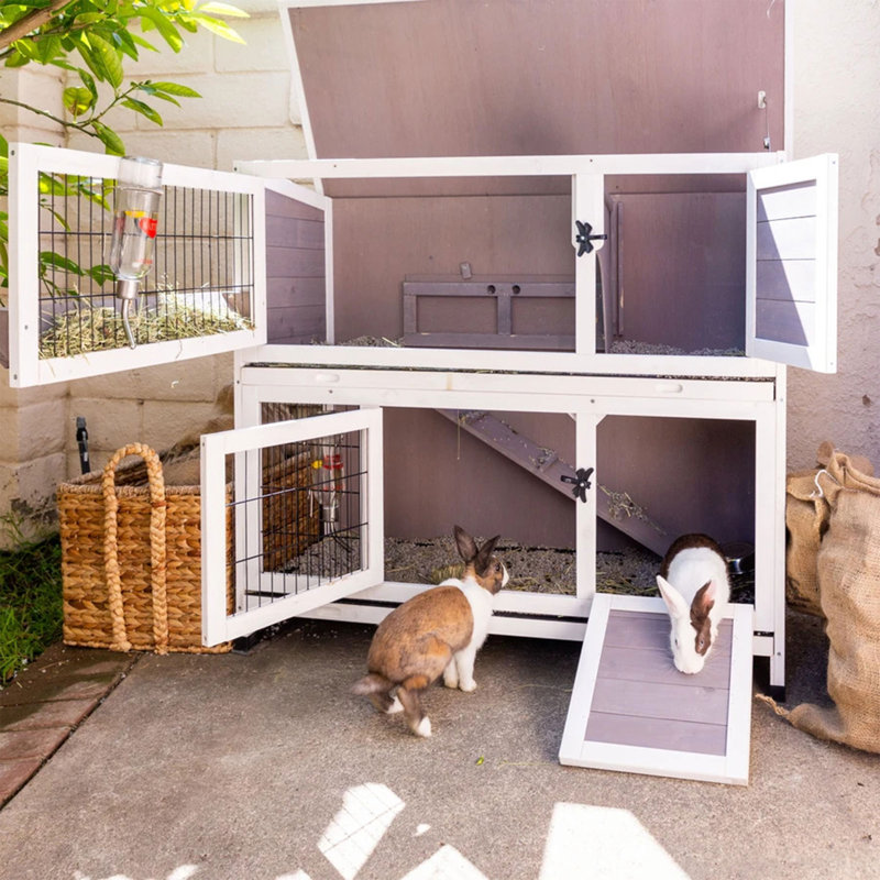 Weather Resistant Small Animal Cage