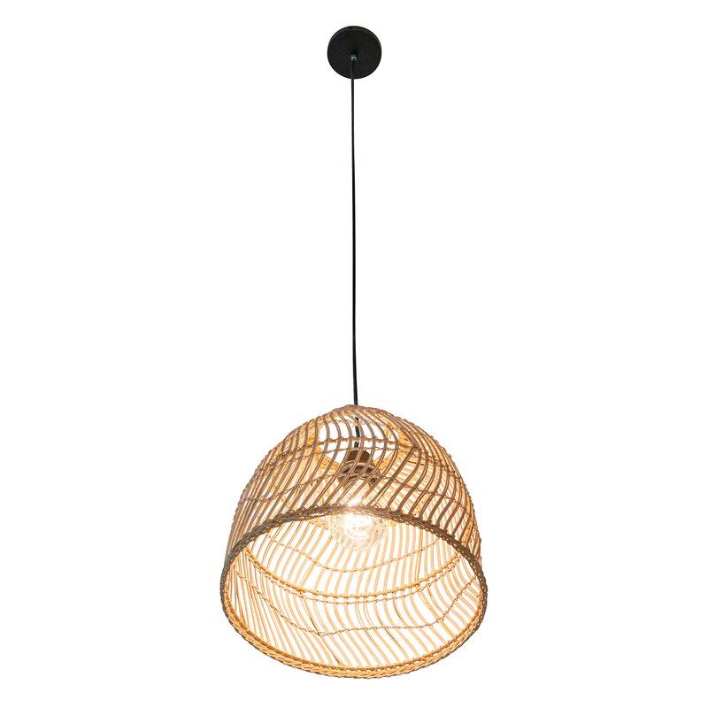 Bayou Breeze Aletse 1 - Light Single Pendant | Wayfair