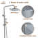 Steampunk Pressure Balanced Complete Shower System with Clawfoot Control Handle and Rough-in Valve