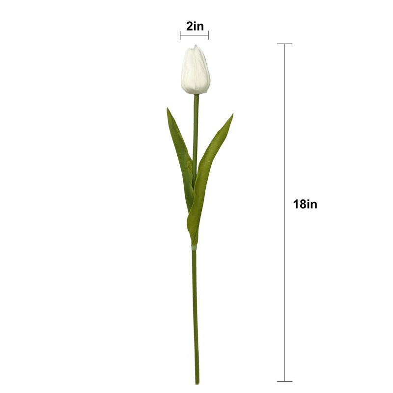 Tiges de tulipe Real Touch, Blanc