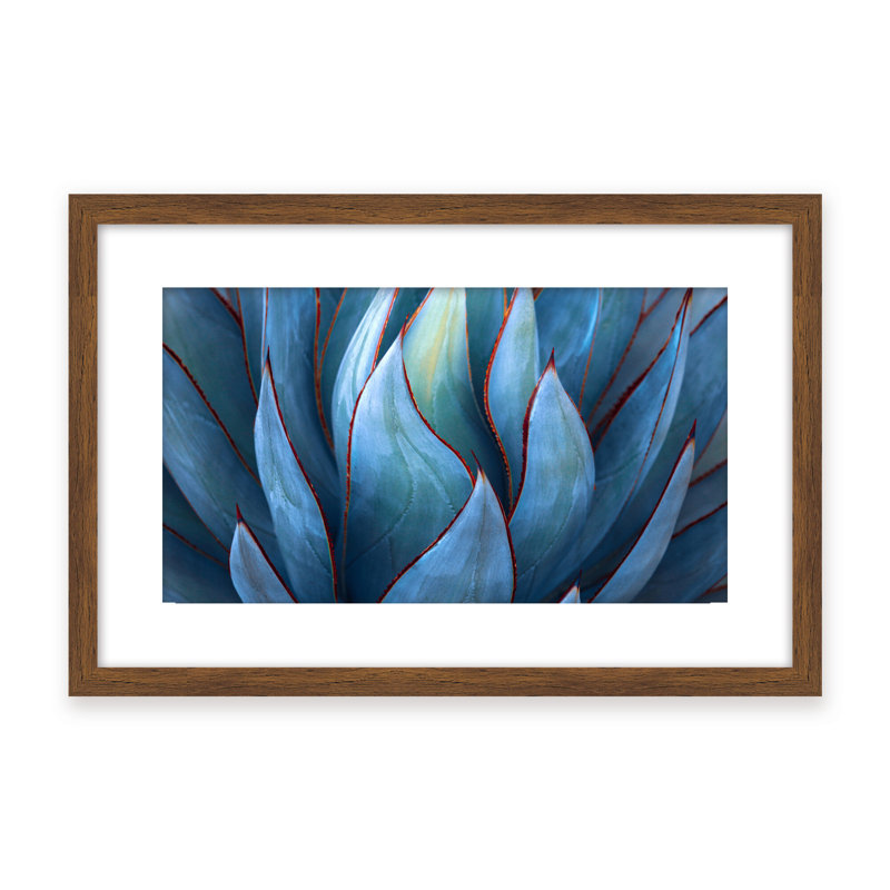 Nature Inspired Blue Agave Abstract by  - Picture Frame Graphic Art on Paper, 32" H x 48" W x 1.125" D, Black
