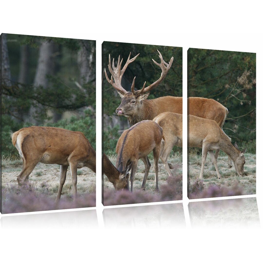 3-tlg. Leinwandbilder-Set „Hirschfamilie auf Waldlichtung", Fotodruck