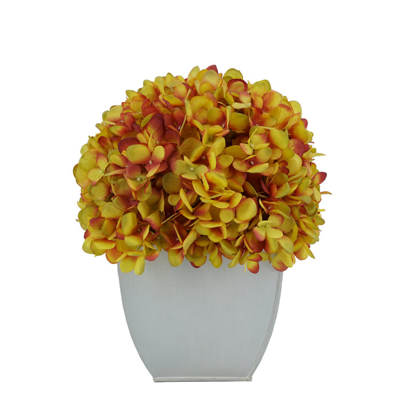 Arrangements floraux d'hortensias en pot, Or