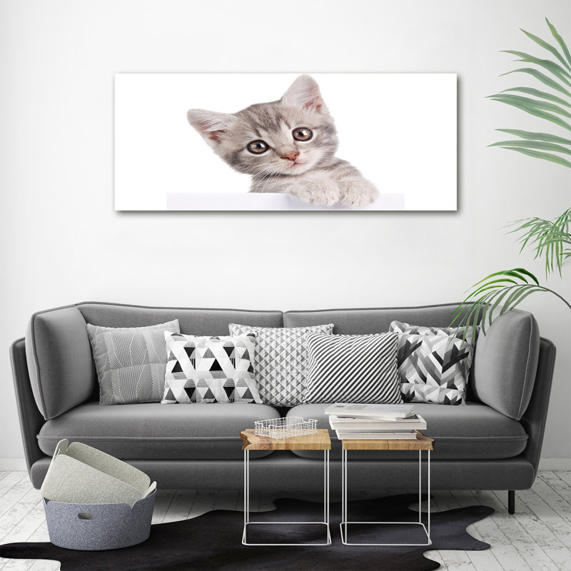 Gray Cat - No Frame Print on Canvas