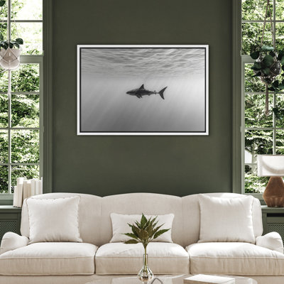 White Shark Ocean Depth Modern Coastal Decor – Pictures Framed Canvas Print Wall Art