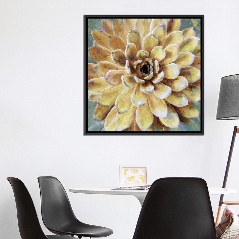 «Succulent II», impression sur toile, H 18 po x l 18 po x P 1,5 po, Toile encadrée noire, Pas de tapis