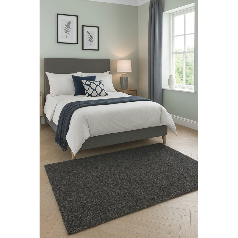Salina Solid Colour 120cm X 170cm Area Rug