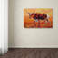 « longhorn heifer », reproduction sur toile tendue-21934645
