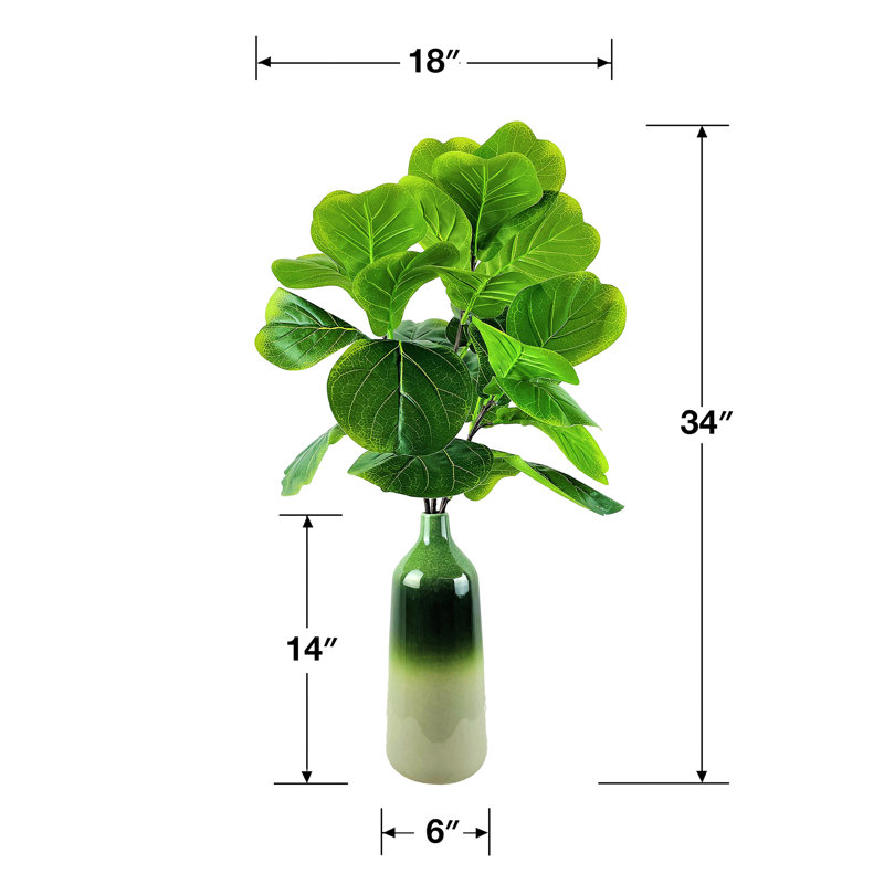 Branche de figue 34 pouces dans un vase dégradé vert