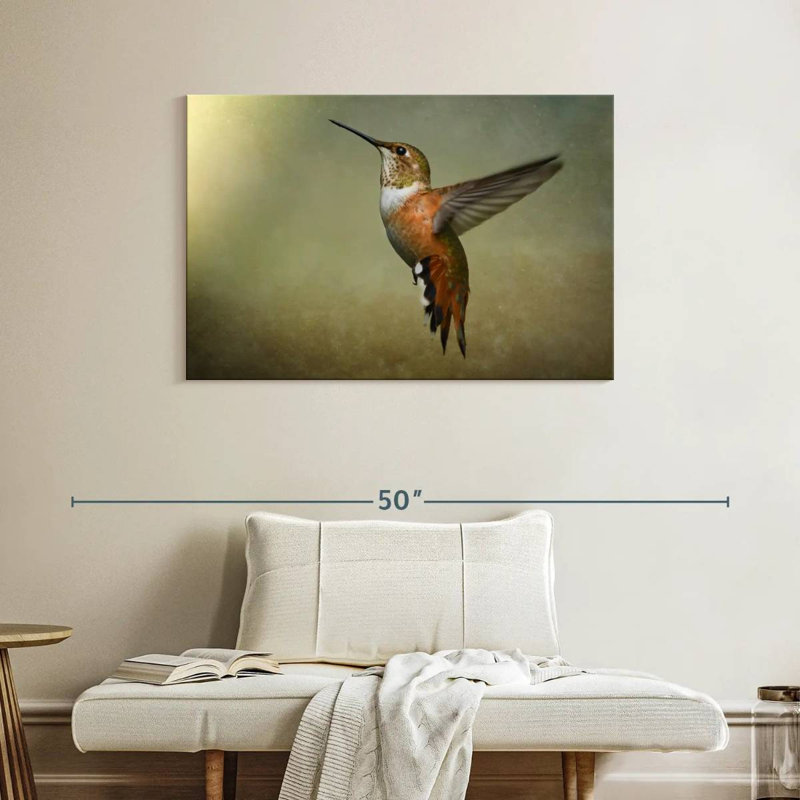 Brampt Female Rufous Hummingbird, 26" H x 39" W