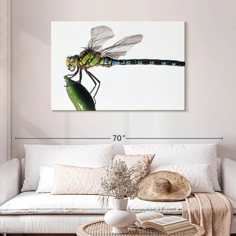 Green Darner Dragonfly, H 30 po x l 45 po