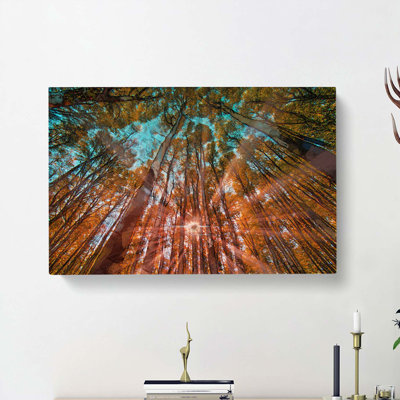 Light Through The Forest - Wrapped Canvas Print