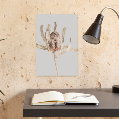 Banksia, architecture contemporaine abstraite, art mural