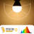 60 Watt LED Dimmable Light Bulb E12/Candelabra