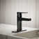 Taut Single-Control Lavatory Faucet with Escutcheon