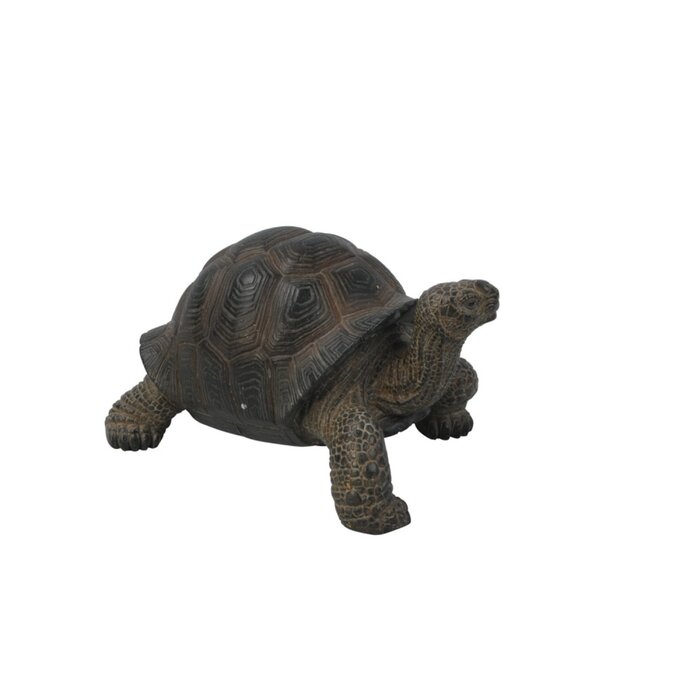 Hi-Line Gift Ltd. Tortoise Statue & Reviews | Wayfair