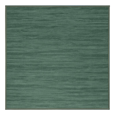 Machine Washable Solid Green Area Rug