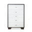 Vertical Chest, Black & White Two-Tone Storage Chest With Slim Handles