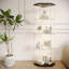 Display Cabinet-640038381