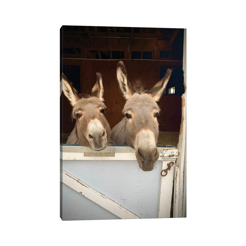 Pair Of Donkeys by Susan Vizvary - Print on Canvas, Wrapped Canvas, 45.72cm H x 30.48cm W x 1.91cm D