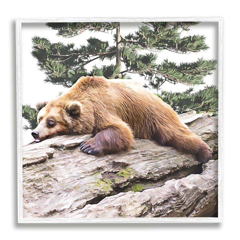 Ours brun endormi - impression, H 12 po x l 12 po x P 1,5 po, Giclée encadrée blanc bord de mer