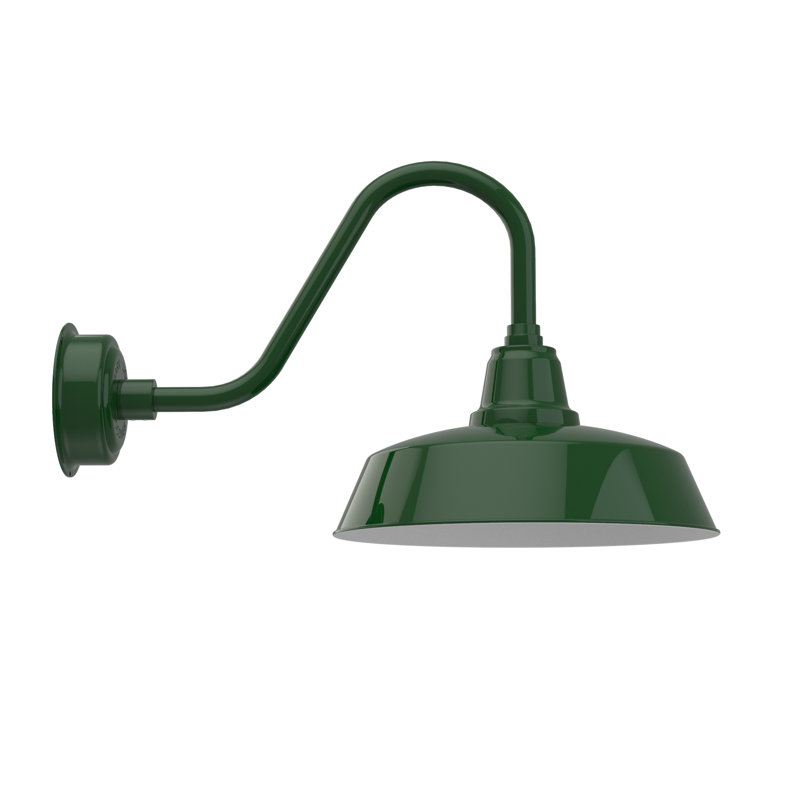 Luminaire de grange d’extérieur à del Vandervliet, H 14,88 po x l 16 po x P 27 po, Vert Tage