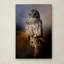 «Last Catch of the Day» de Vidur, impression sur toile tendue-22076050