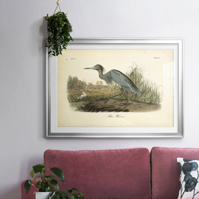 " Audubons Blue Heron "