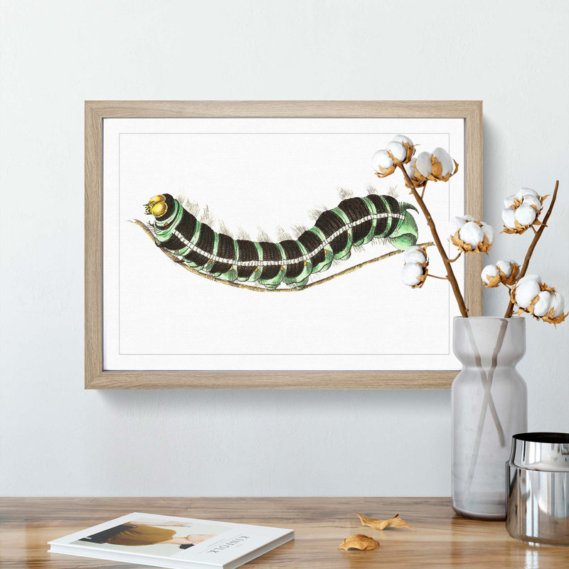 Illustration of a Green Caterpillar - Picture Frame Graphic Art Print, 36cm H x 48cm W x 2cm D, Oak Framed
