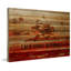 Gattaca «Cali», reproduction d'art sur bois de pin naturel-1010340245