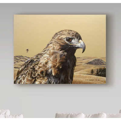 «Red Tailed Hawk» par Etelca, impression sur toile tendue