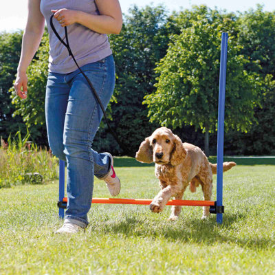 Agility Hurdle for Dogs