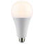 36 Watt LED Bulb-891380504
