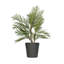 Vrej Fibreglass Planter-14486253-27789006