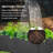 Planter Box-70050532-70050533