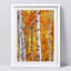 «White Orange Birch Tree Leaf Spring Autumn Forest» sur-98266528-98266532