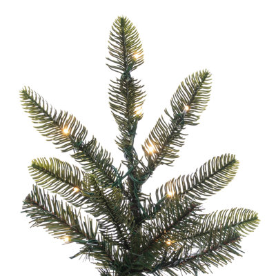 12' x 80" Alberta Spruce 3mm 2150CC