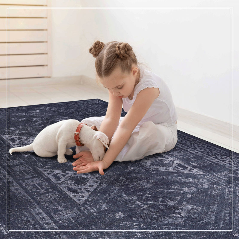 Area Rugs, Washable Rug, Low-Pile, Non-Slip, Non-Shedding, Foldable, Kid & Pet Friendly - Area Rugs For Living Room, Bedroom, Kitchen, Dining Room Rug - Perfect Gifts, (Black+ Gray)